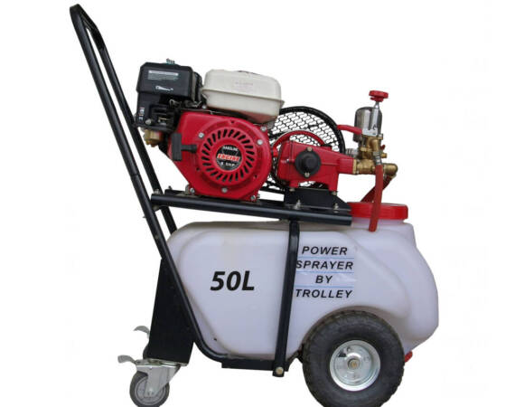 stpr50